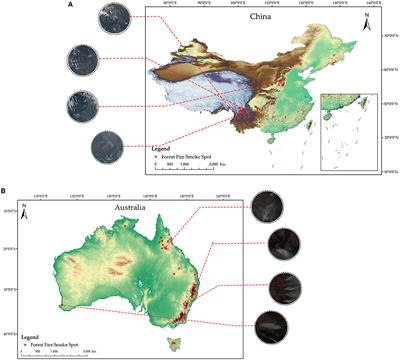 A forest fire smoke detection model combining convolutional neural network and vision transformer